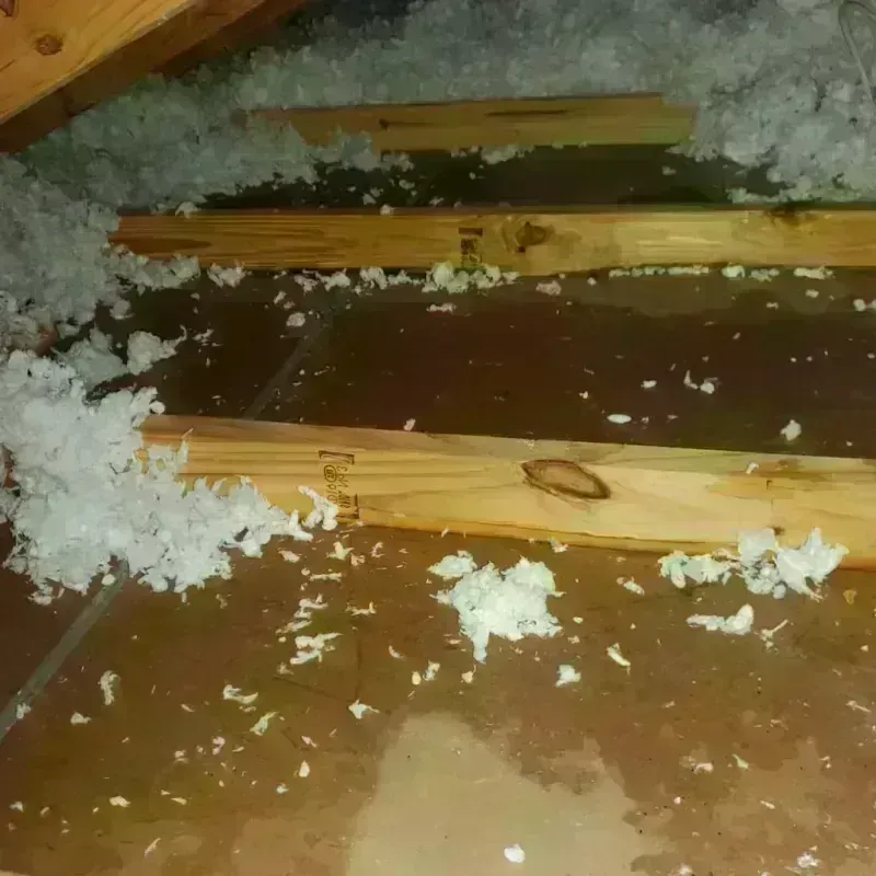 Attic Water Damage in Dixiana, AL