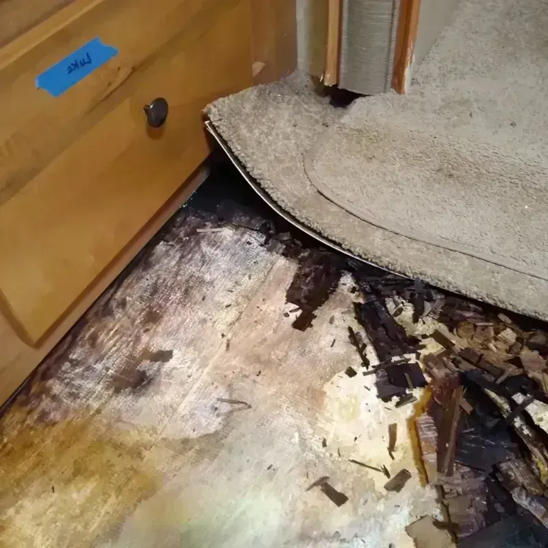 Wood Floor Water Damage in Dixiana, AL